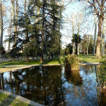 Rive Gauche *